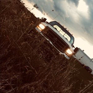 Meet your Posher, Joey